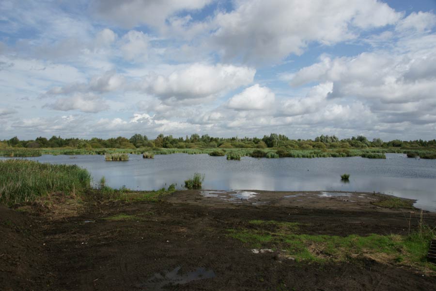 View From Main Hide
